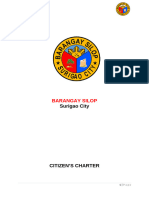 Citizens Charter