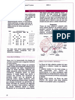 Apostila Tutoria Neurologia Etapa 3 1.2024 Pg. 15