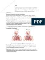 Sistema Respiratório