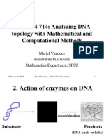 Mariel Vazquez - Analyzing DNA Topology With Mathematical and Computational Methods