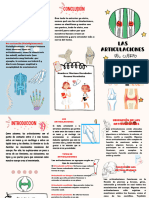 Las Articulaciones Triptico