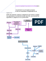 Resumen Metabolismo de Compuestos Nitrogenados I