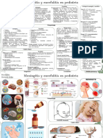 Monografía de Encefalitis y Meningitis