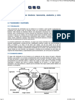 Anatomia de Bivalbos y Peces