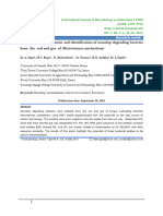 Isolation, Characterization and Identification of Roundup Degrading Bacteria From The Soil and Gut of Macrotermes Michaelseni