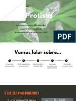 Aula Sobre Protozoários