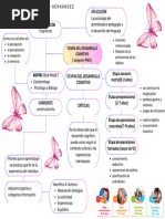 Teoria Del Desarrrollo Cognitivo