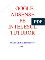 Ghid Adsense