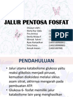 Jalur Pentosa Fosfat