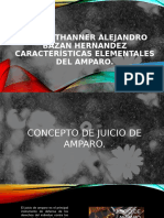 Características Elementales Del Amparo Unidad 1 Mtro. Thanner Alejandro Bazan Hernandez