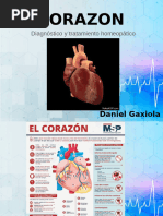 Exposición CORAZON Homeopatía