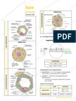 Uploads12281228203121 Cell Structure PDF