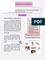 Vertebrates Vs Invertebrates