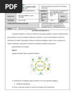 LABORATORIO 3.1 - Lucero