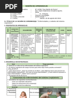 SESION de APRENDIZAJE Enfermedades y Cuidados Del Sistema Respiratorio