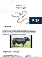 Proteinas y Enzimas