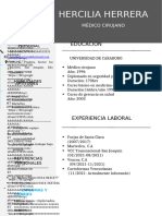 233 Curriculum Vitae Profesional para Trabajo 97 2003