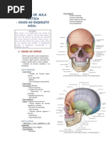 Roteiro de Aula Cranio