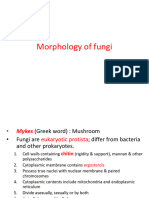 Morphology Fungi