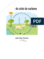 Trabalho Sobre Ciclo Do Carbono