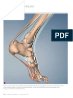 Working With Ankle Mobility, Part I (Myofascial Techniques)