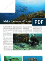 "NZ Fishing News" Diving Article January 2011