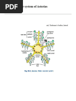 28 Water Vascular System of Asterias