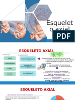 Esqueleto Axial