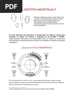 Volante Gestion Menstrual - 1