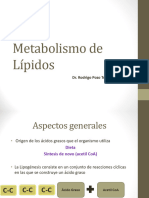 Metabolismo de Lipidos Unicen