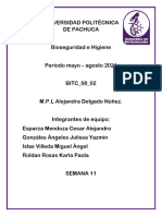 PDF Documento