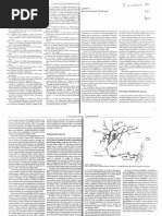 Neuroanatomía Funcional. Cap2. Texto 2