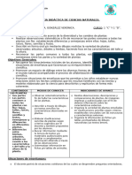 2°SECUENCIA DIDÁCTICA DE CIENCIAS NATURALES Las Plantas