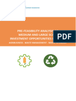 UNIDO - IMKAN - Medium & Large Investment Pre-Feasibility Analysis