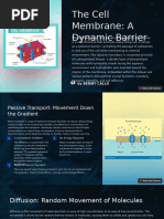 The Cell Membrane A Dynamic Barrier