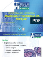 Anatomia e Fisiologia Vesical