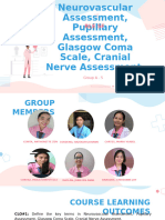 Neurovascular Assessment