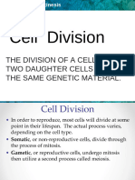 Cell Cycle