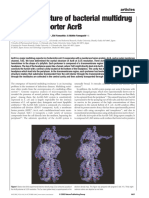 Crystal Structure of Bacterial Multidrug Efflux Transporter AcrB