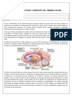 Cerebro Laboratorio Cim