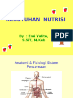 Kebutuhan Nutrisi