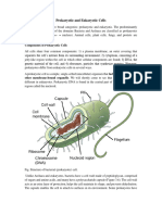 Prokaryotic and Eukaryotic Cells