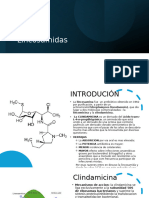 Clindamicina Terapeutica 2