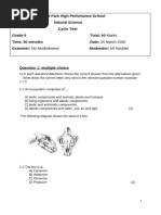 Cycle Test Term 1 2021