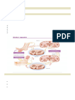 Unidad N-8 Antiinflamatorios No Esteroides