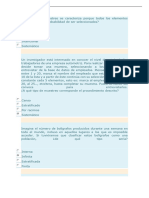 Examen Seamana 4 PDF