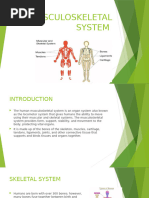 Musculoskeletal System