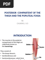 Posterior Compartent of The Thigh