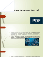 Qué Es La Neurociencia