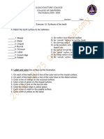 24-25 OA EX12 - Surfaces of The Teeth